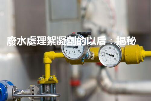 廢水處理絮凝劑的以后：揭秘高效凈化的秘密？